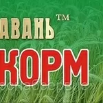 Комбикорм и БМВД ТД  