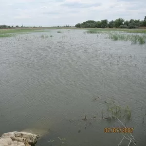 Пруд,  ставок,  водоем