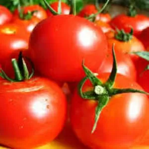 Самые самые свежие томаты с поля!