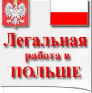 Трудоустройство в Польше по рабочей визе 
