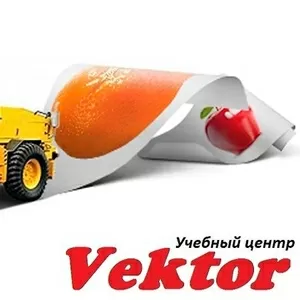 Дешёвые курсы дизайн рекламы в Херсоне. УЦ Vektor