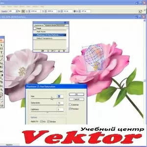 Курсы в Херсоне Adobe Illustrator. Учебный центр Vektor.