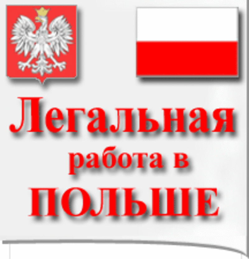 Трудоустройство в Польше по рабочей визе 