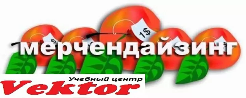 Курсы Мерчандайзер. Учебный центр «Vektor».