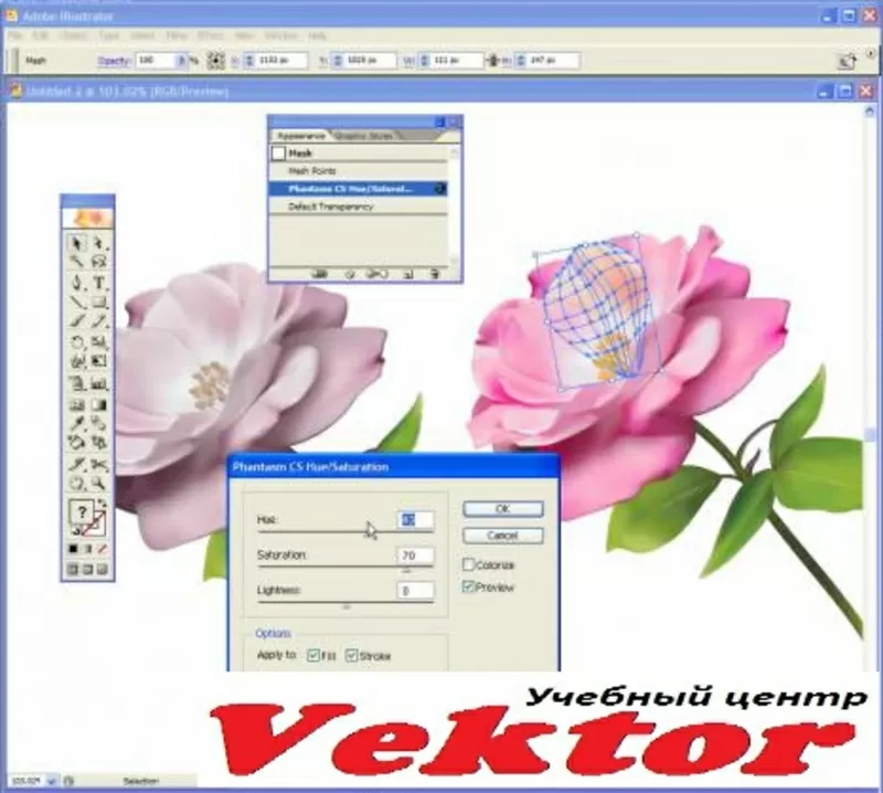 Курсы в Херсоне Adobe Illustrator. Учебный центр Vektor.