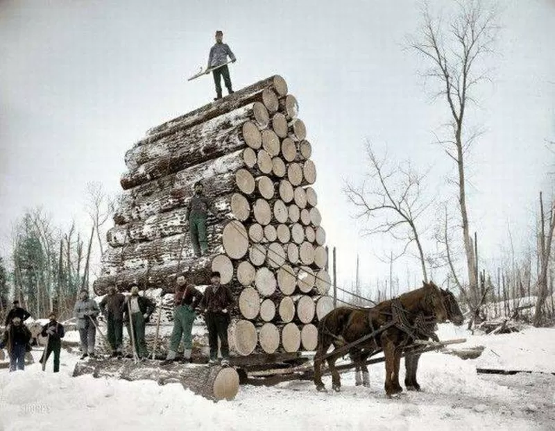 Продаём дрова оптом акации и дуба в Херсонской области. 2