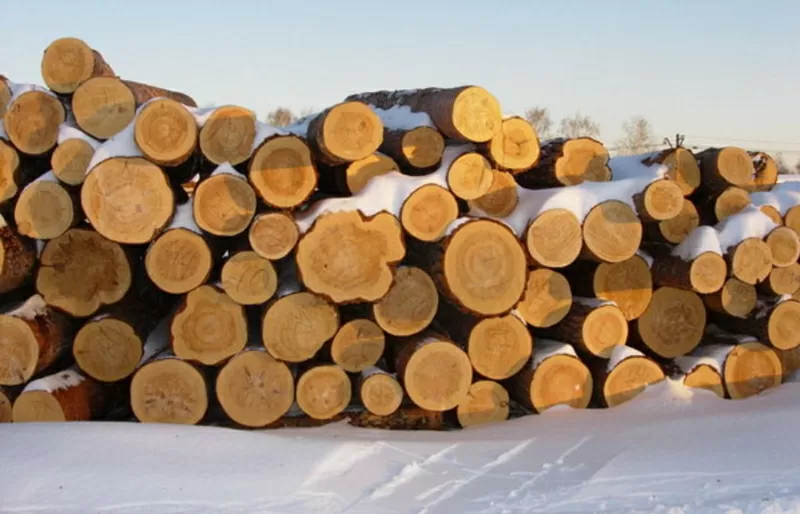 Продаём дрова оптом акации и дуба в Херсонской области.