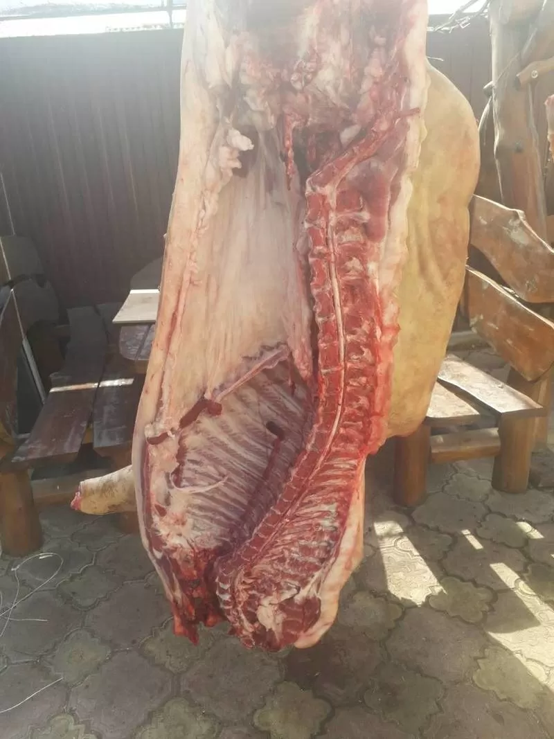 Продам мясо свинина домашняя.