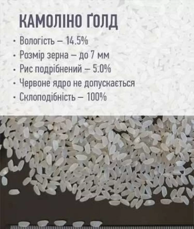 Продам рис оптом Камолино,  суши,  yakita,  aroshiki,  круглый ТМ А 5